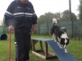 P rogetto Happy Agility